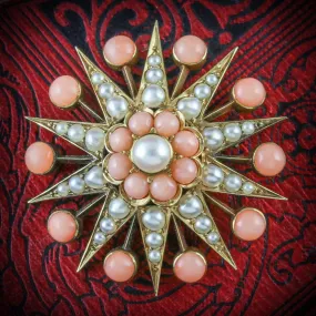 Antique Victorian Coral Pearl Star Brooch 18Ct Gold Circa 1900