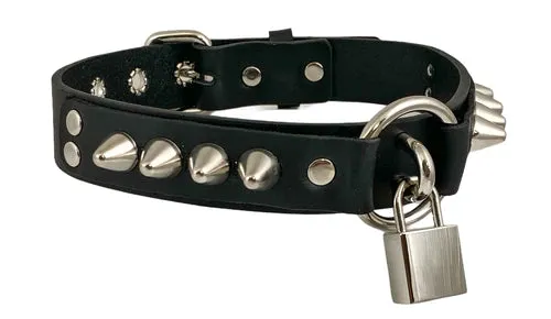 Black Leather Collar w/ Silver U Ring, Lock and Spike Details