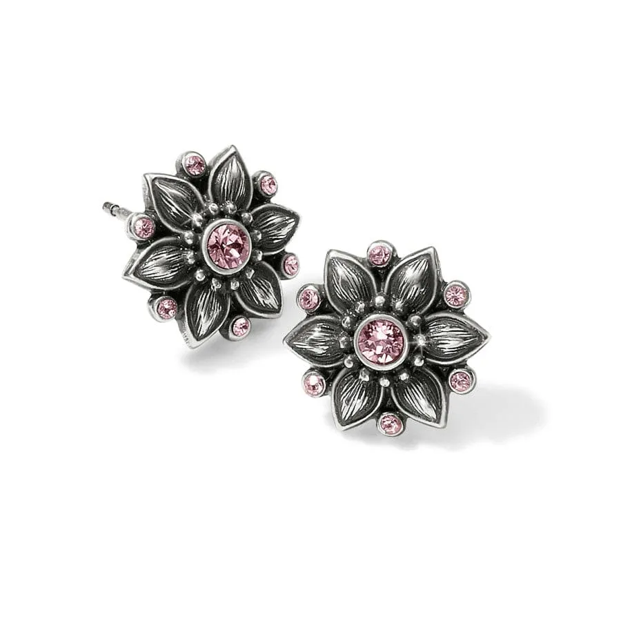 Cora Mini Post Earrings