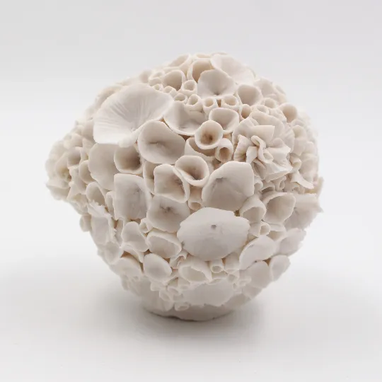 Coral Sculpture