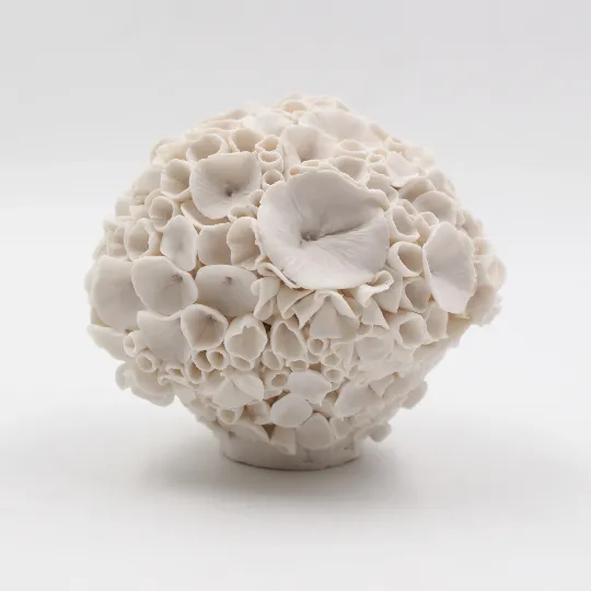 Coral Sculpture