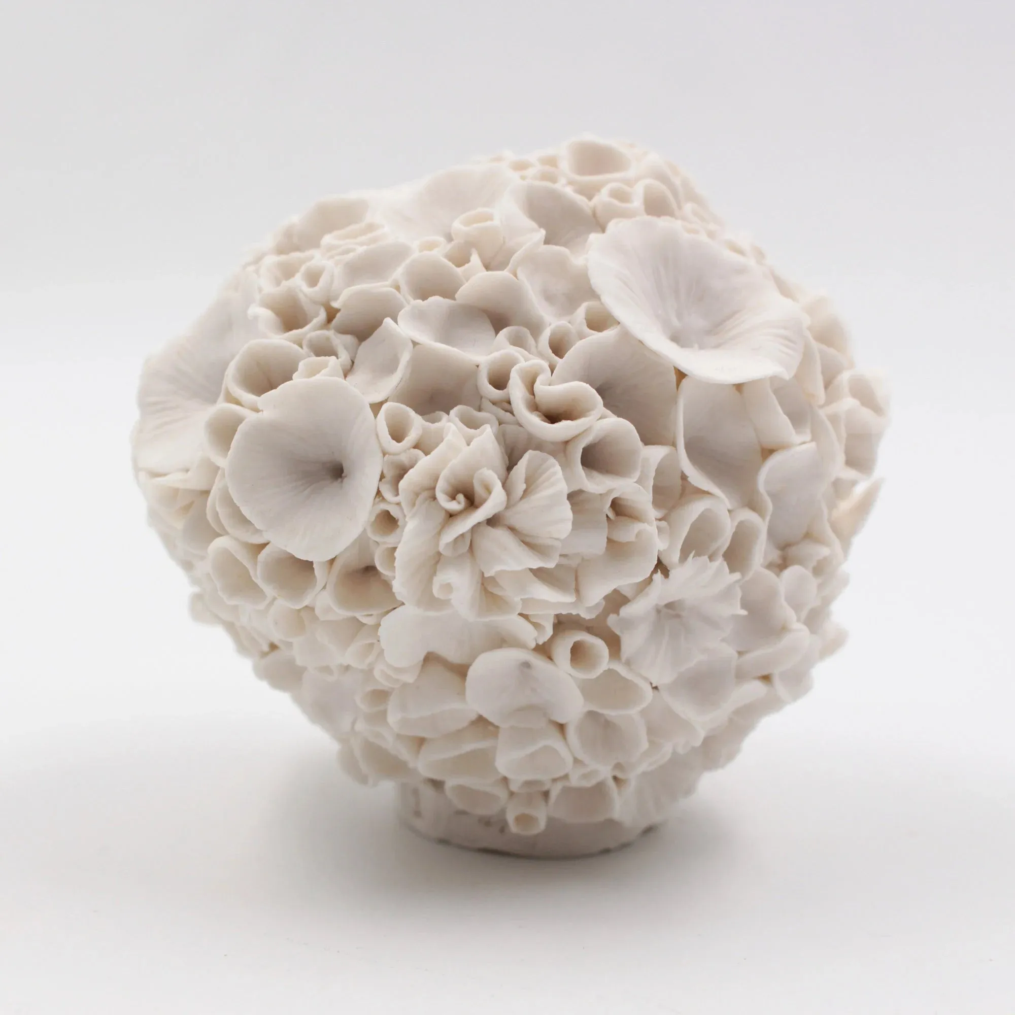 Coral Sculpture