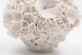 Coral Sculpture