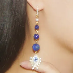 Lapis Lazuli Fish Earring's!So beautiful!!