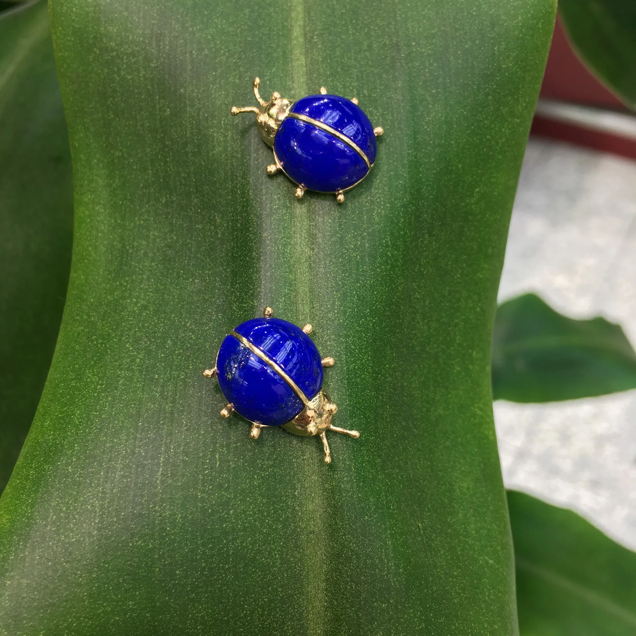 Lapis Lazuli Ladybug Stud Earrings (14K)