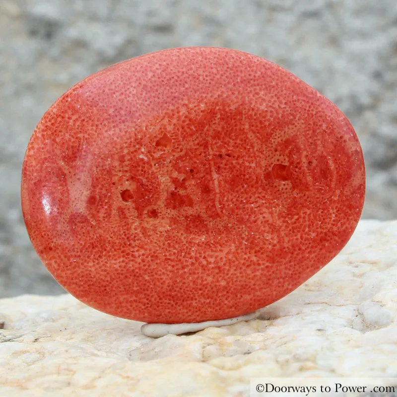 Magical Crimson Red Kundalini Coral Crystal Palm Stone