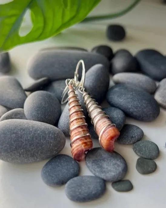 Planted By the Waters Earrings - Corkscrew Shell Earrings