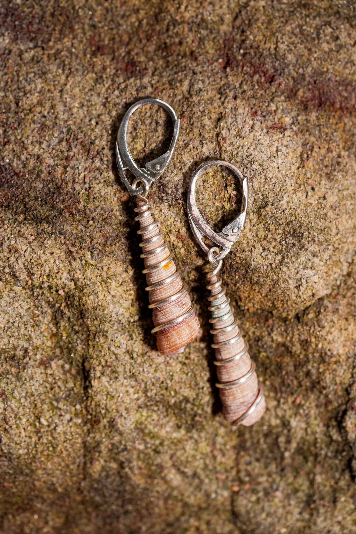 Planted By the Waters Earrings - Corkscrew Shell Earrings