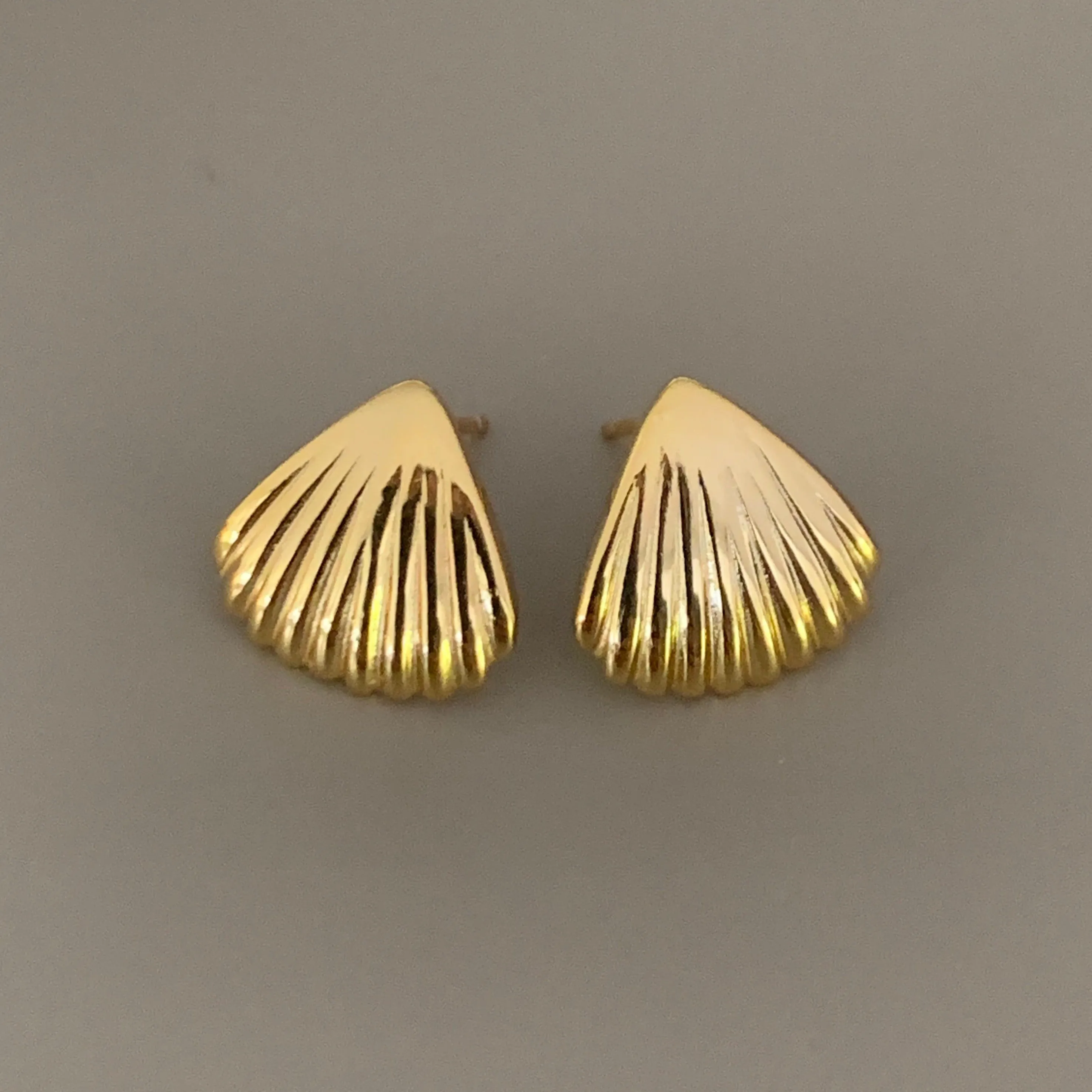 SEA SHELL EARRINGS