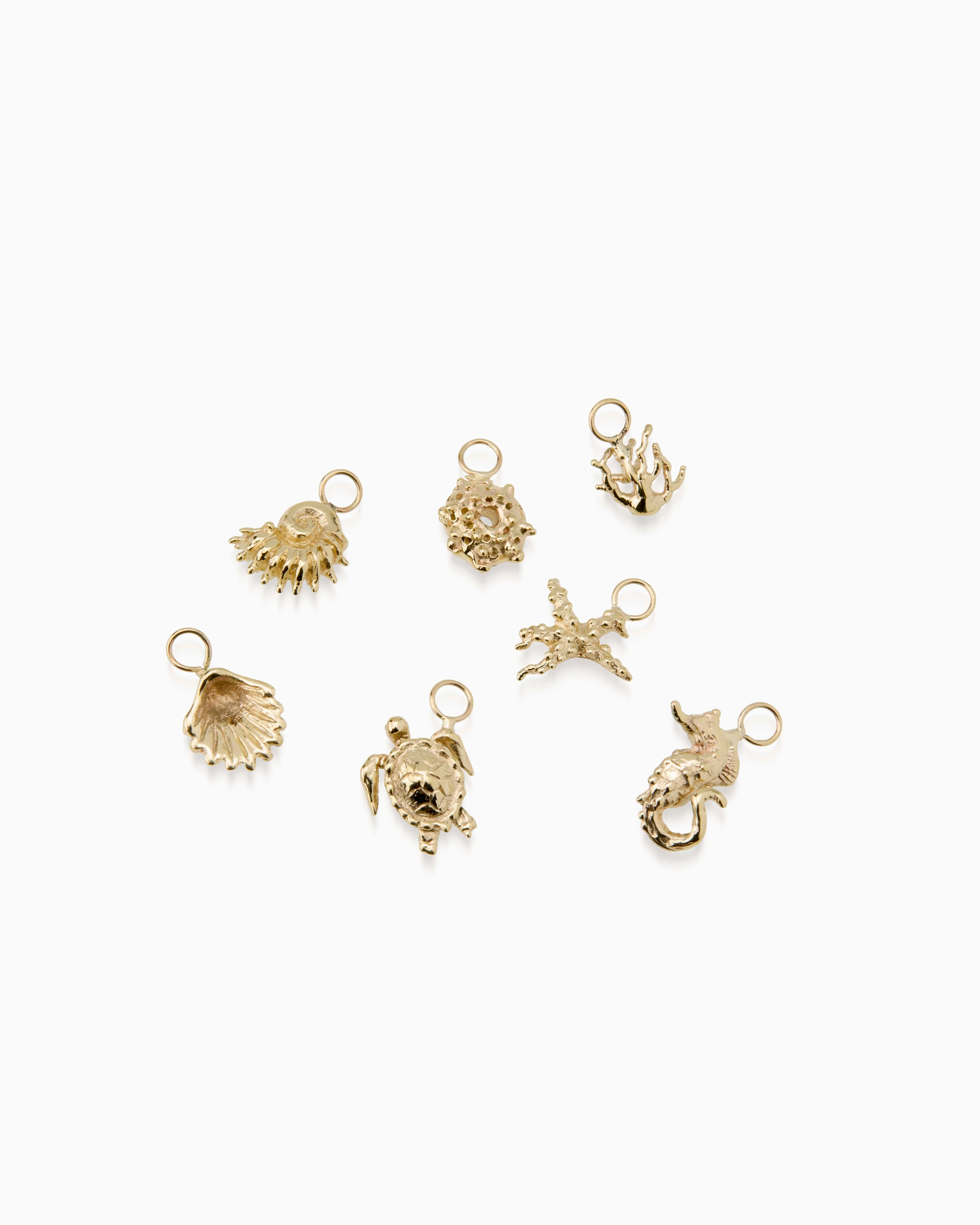 Turtle Earring | Gold