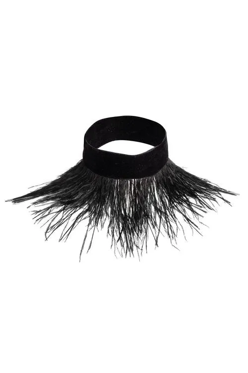 Velvet With Feathers Choker